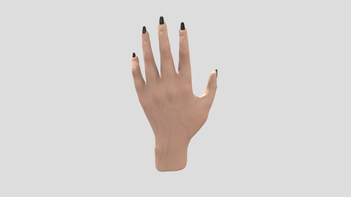 Hand 3D Model