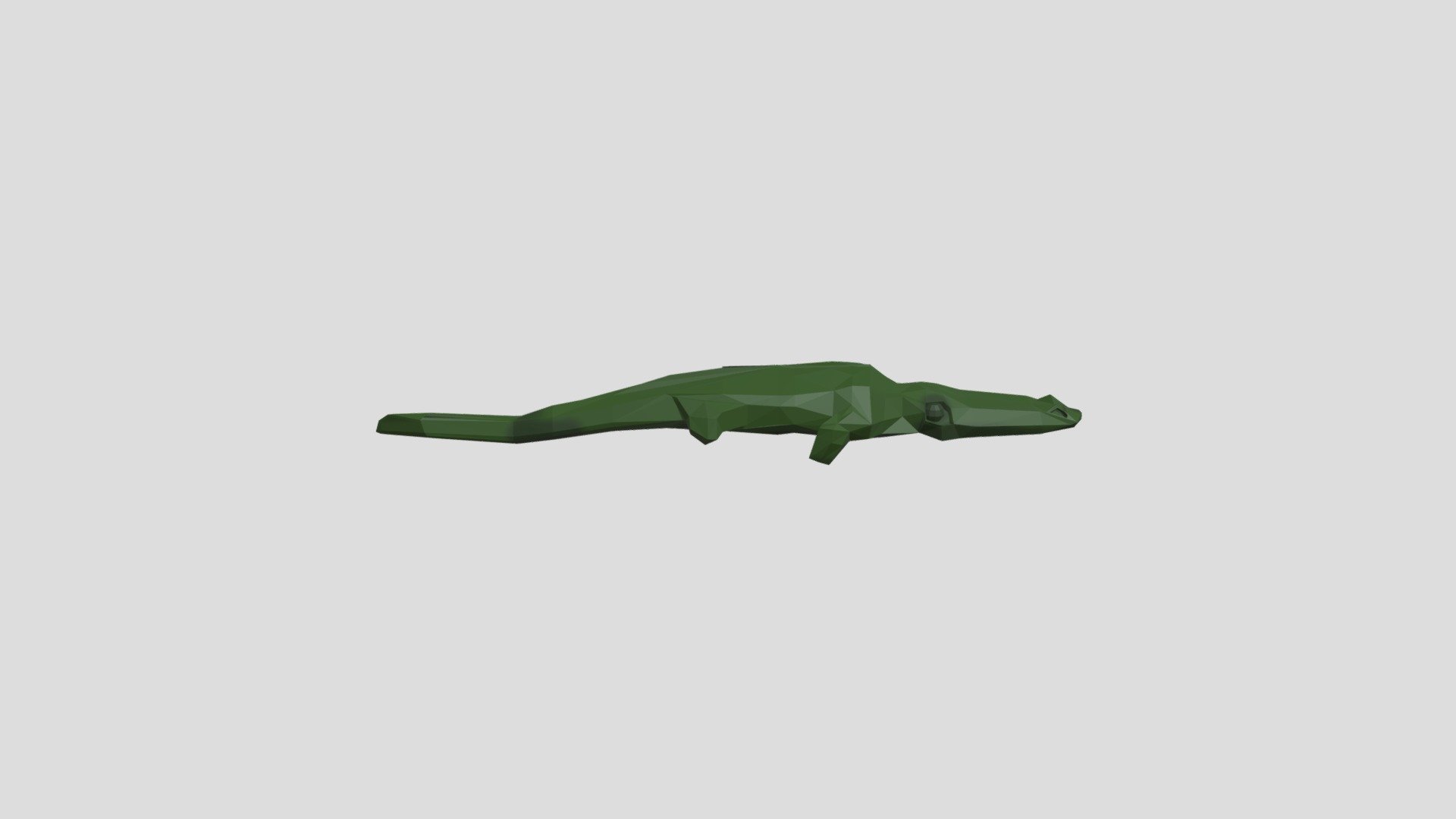 Crocodile