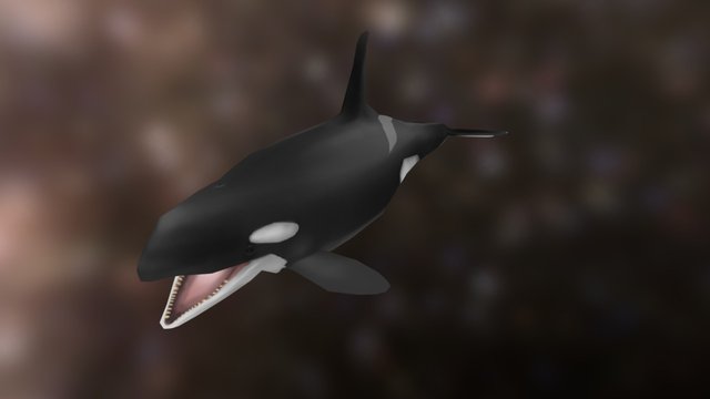 Stylized Orca 3D Model