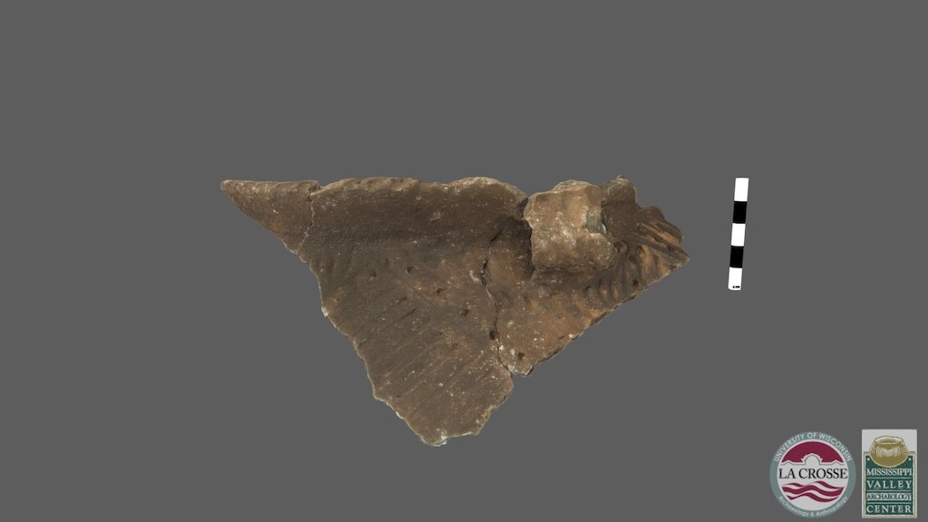 Tremaine Sherd