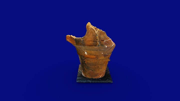 阿玉台式深鉢（八千代市ヲサル山遺跡）観察記録3Dモデル – Free 3D Model STL