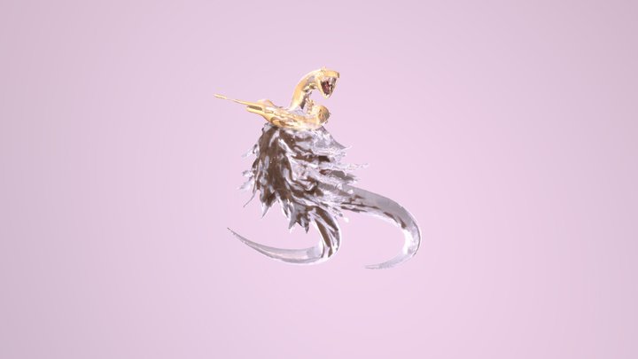 Valvulae 3D Model