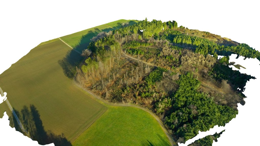 Flächenermittlung Forstwirtschaft GIS und GPS
