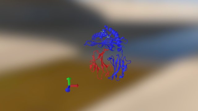 MHC Class I Antigen Presenting Complex - Ribbon 3D Model