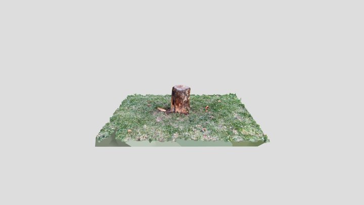 Cut tree 3D Model