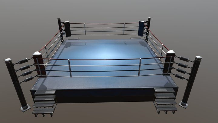 Fighting Ring 3D Model