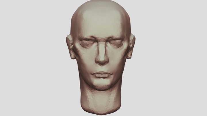 Sculpture Practice-Head 3D Model