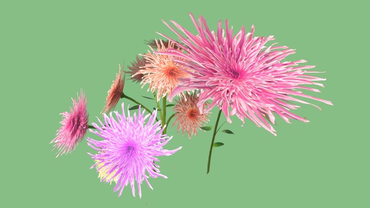 Flowers 3D Model