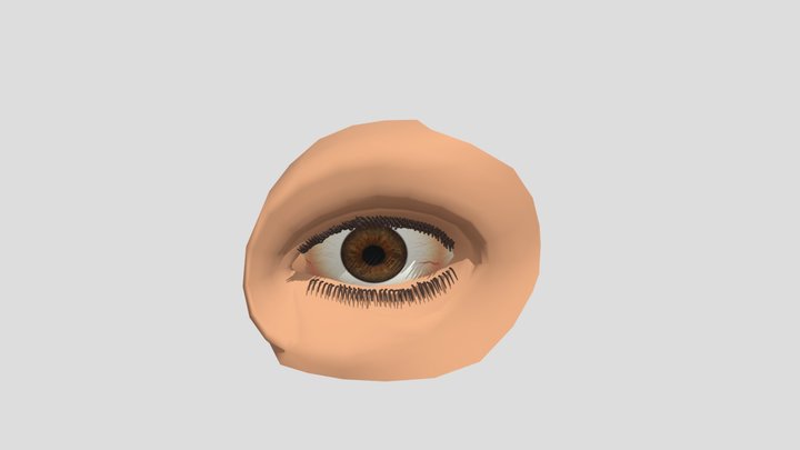 ojo 3D Model