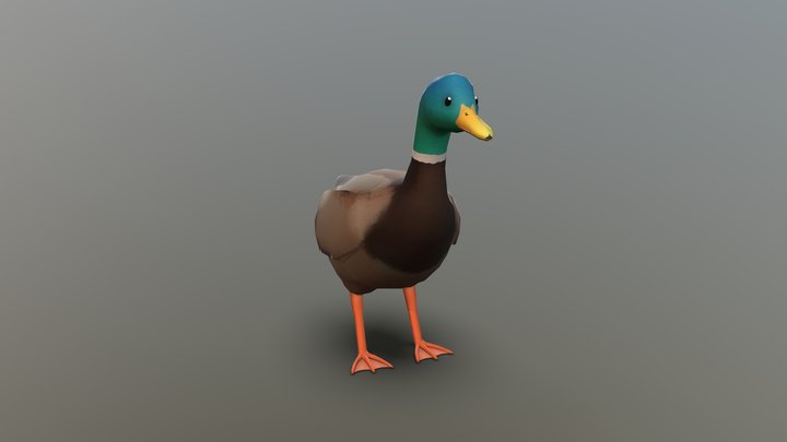 Mallard Duck 3D Model