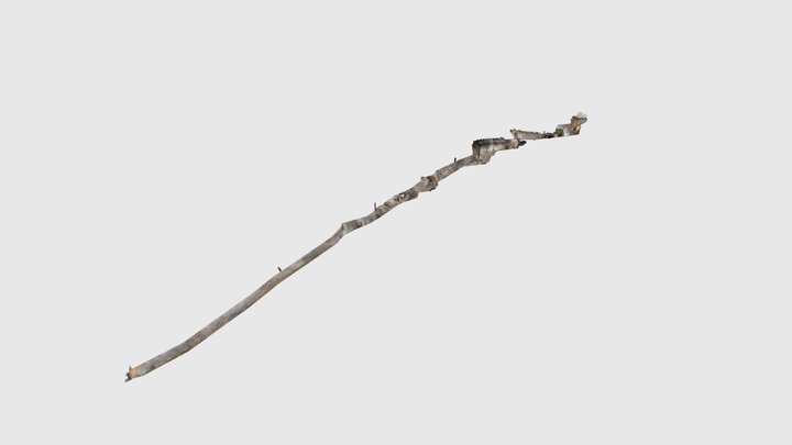 Galerie du Riou Blanquet (partie amont) 3D Model