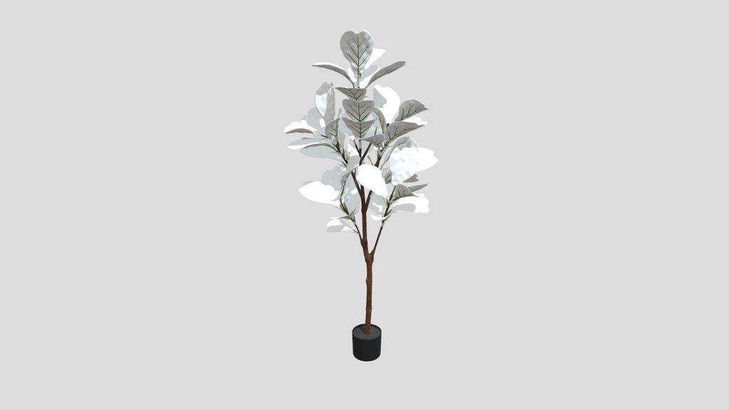 Tall Ficus Lyrata Indoor Plant Decor