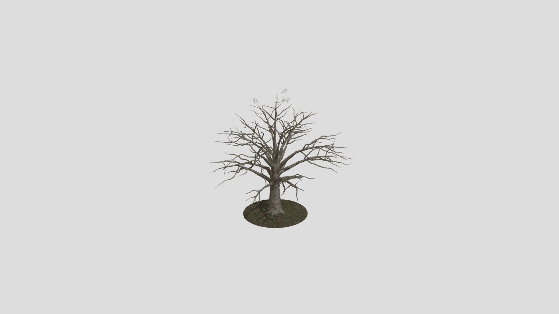 Oak Tree - Download Free 3D model by wvilela [a8451a2] - Sketchfab