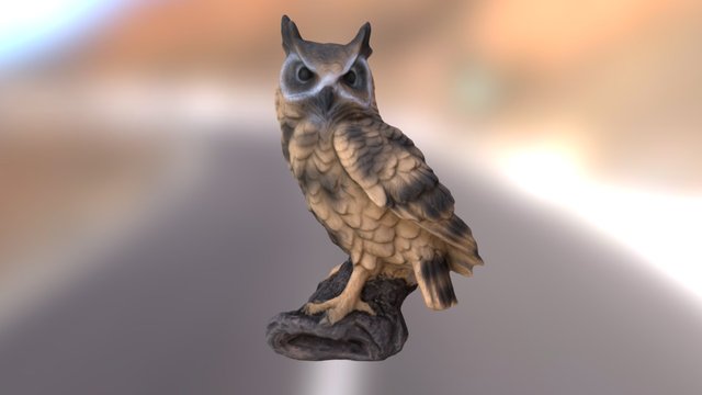 Owl Scan 3D Model