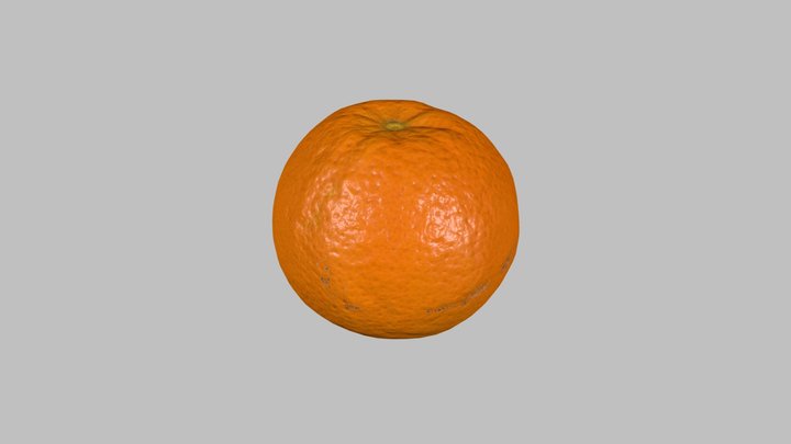 Orange Fruit (low-poly) 3D Model