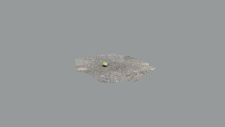 小鸟3号 3D Model