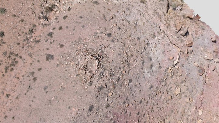 Fremont Structure 2 3D Model