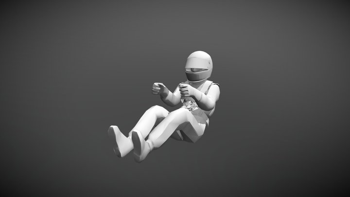 Race Car Driver 3D Model