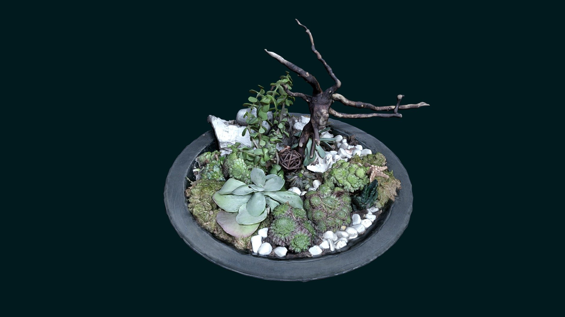 Planty Decor
