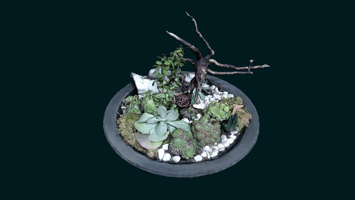 Planty Decor 3D Model