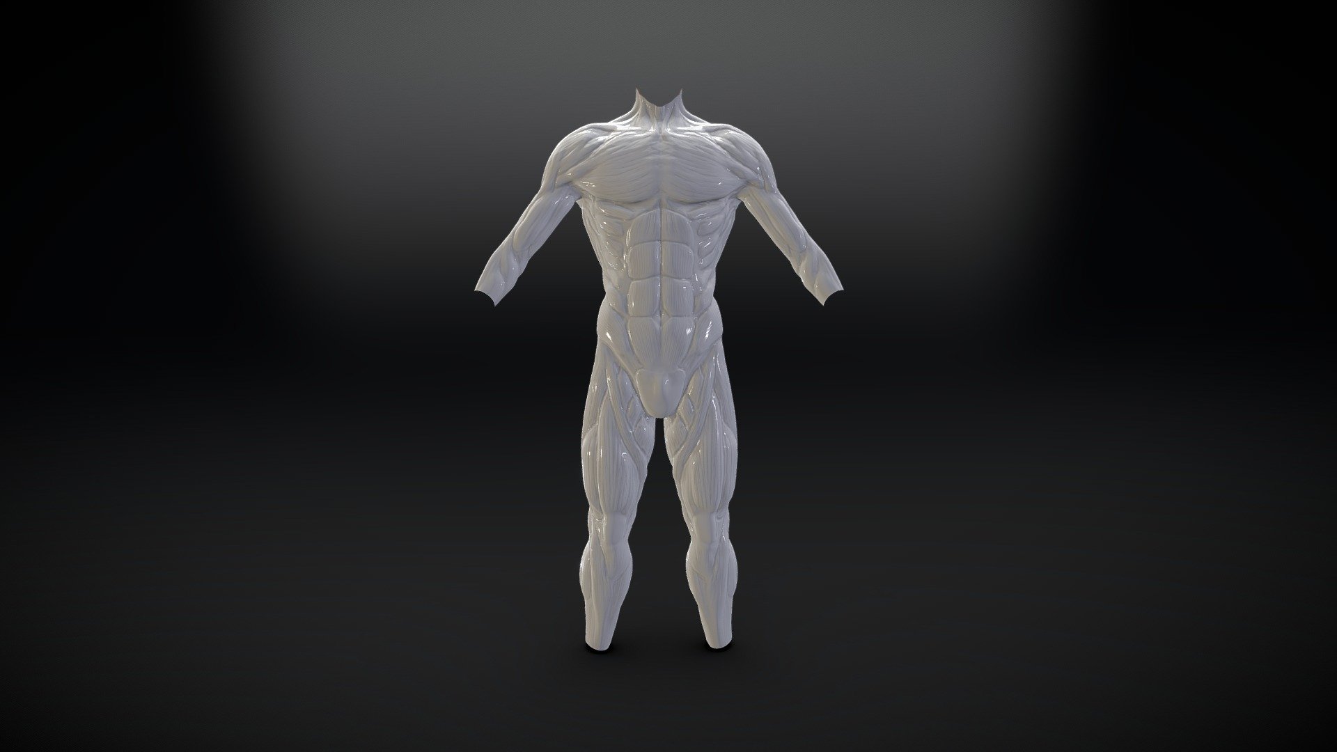 Anatomy Muscle Man