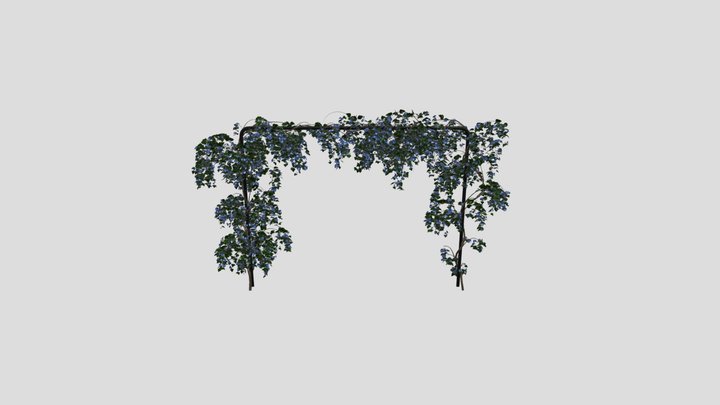 Flower Ivy Trellis Plant