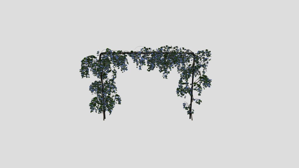 Flower Ivy Trellis Plant