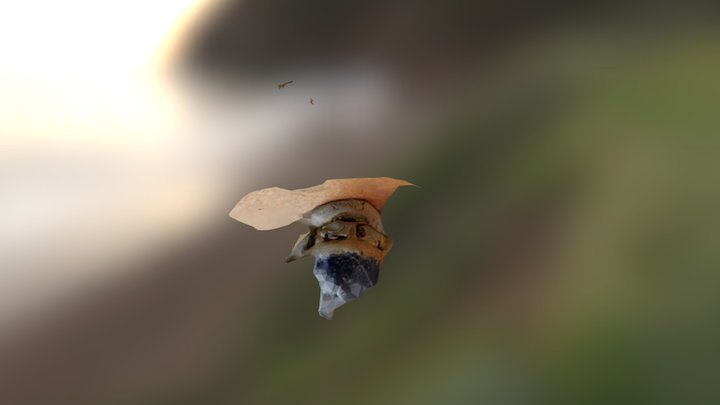 Pottery Test 1 3D Model