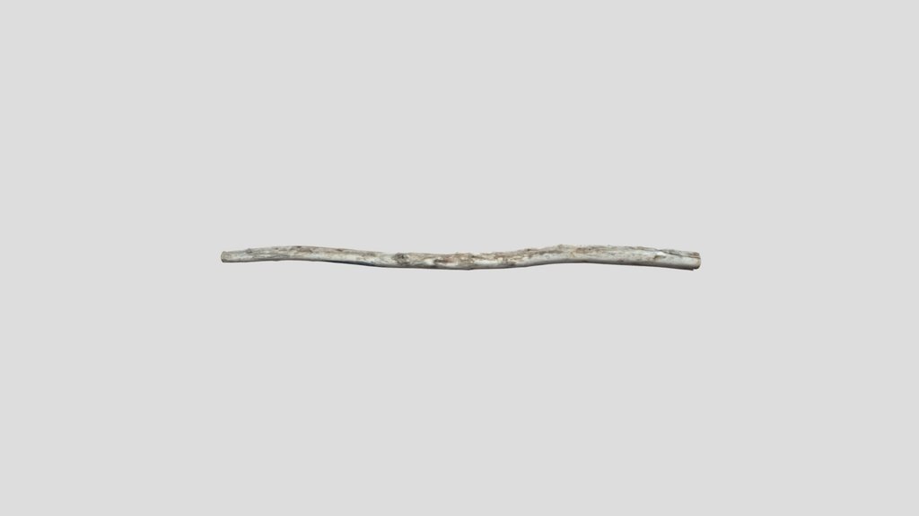 Driftwood Log