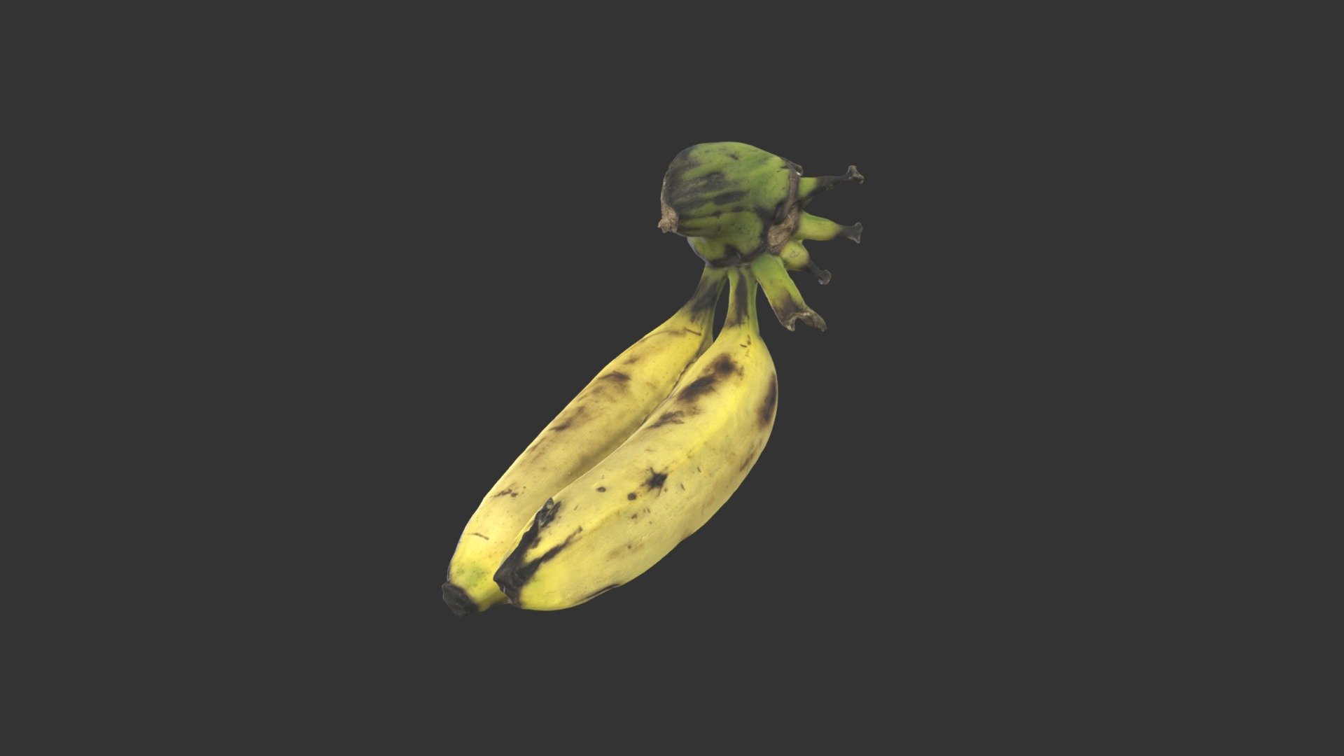 20211207-banana