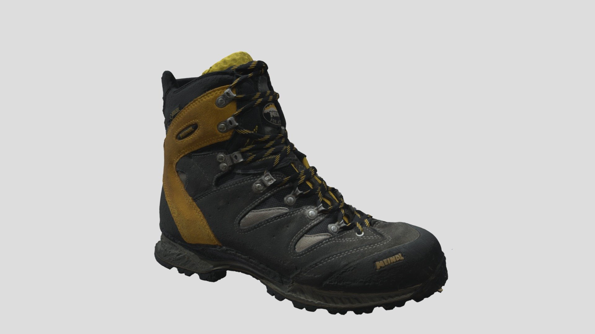 Hiking Shoe Meindl
