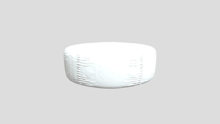 Training Wound Model 3D Model