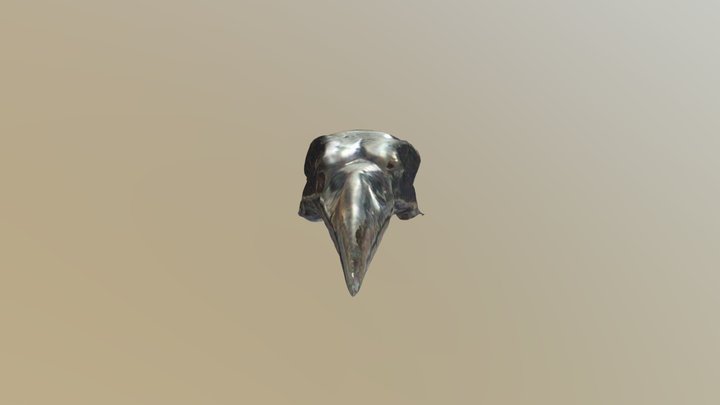 Ravenskull 3D Model