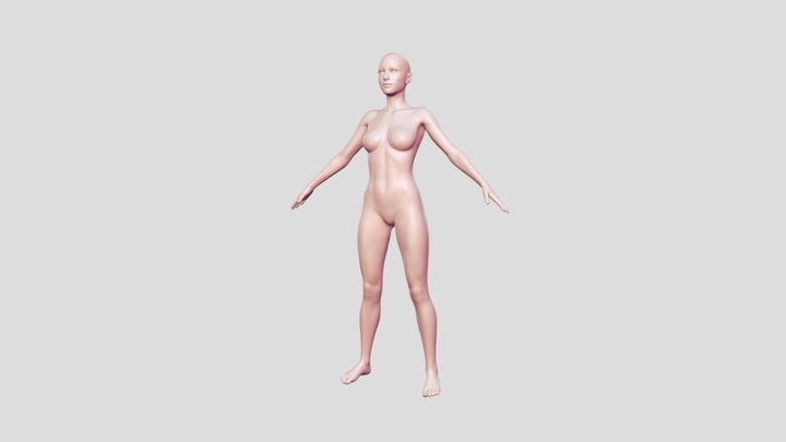 Anatomy Female 3D Model