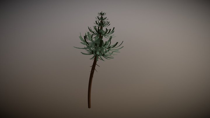 Sapin 003 3D Model