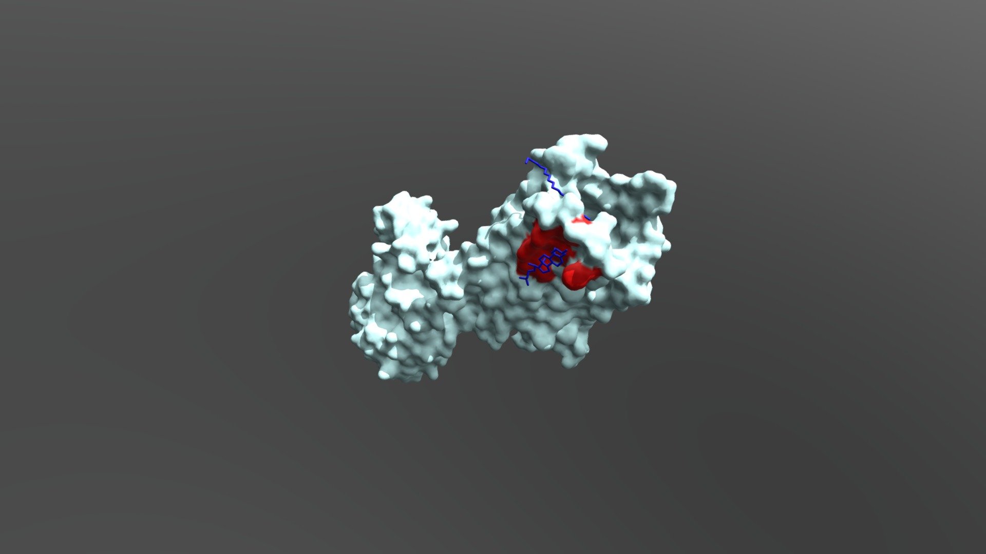 Opioid Receptor Surface Model