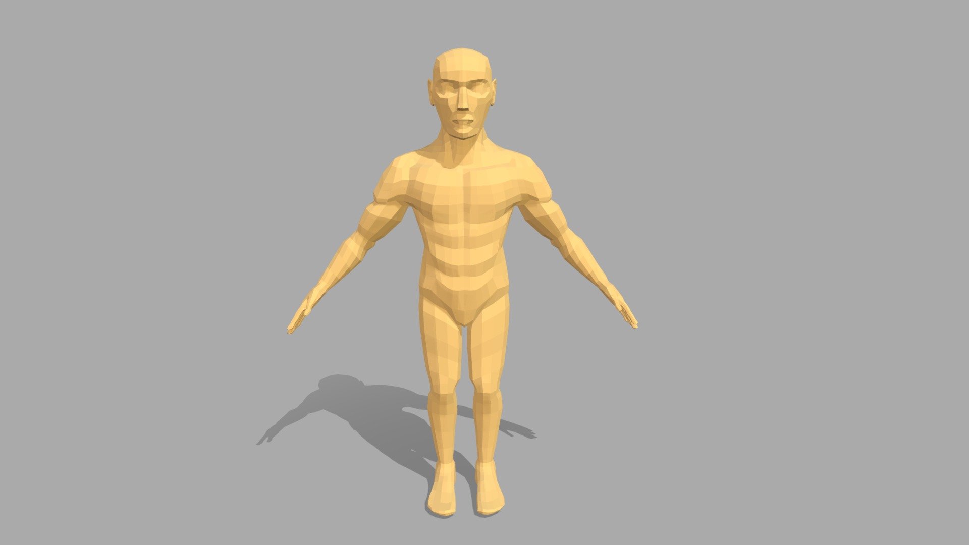 Human Anatomy Topology - Lowpoly - 3D model by Sibel K. (@SibelK ...