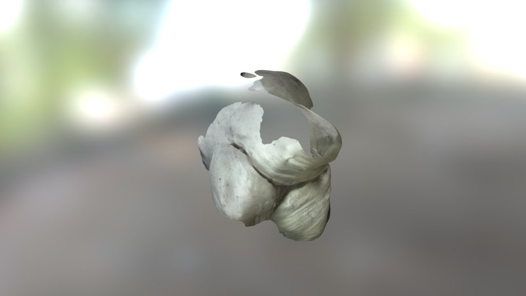 Valve face