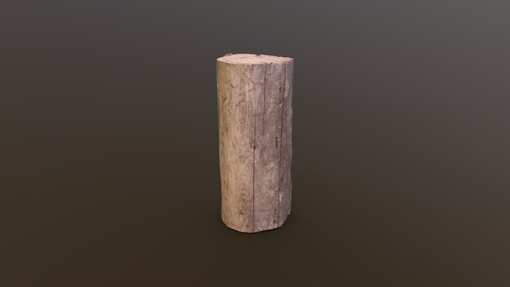 Log Scan 3D Model