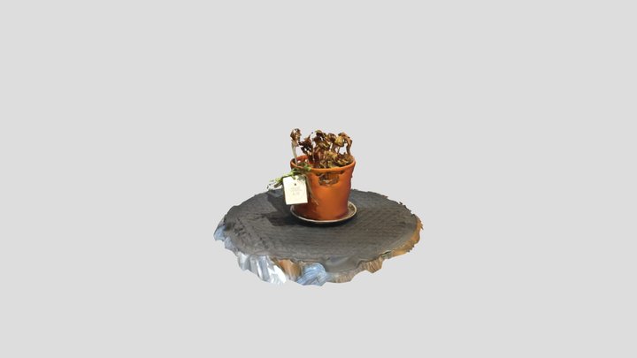 Dead Plant! 3D Model