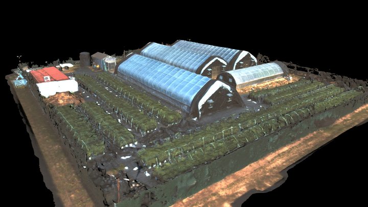 Flower Farm 3D Model