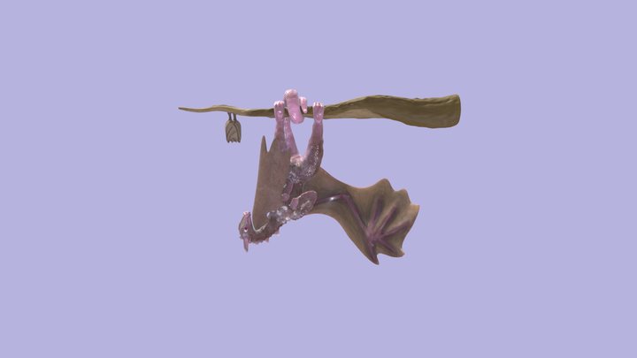 Bat Dragon 3D Model