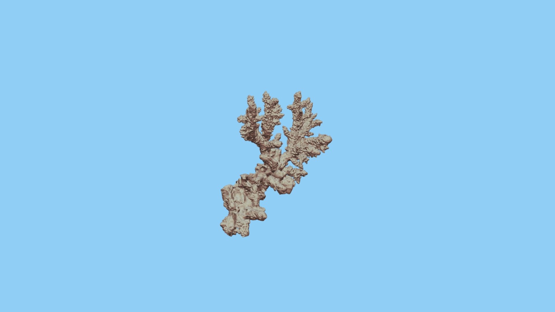 Coral7-1000k