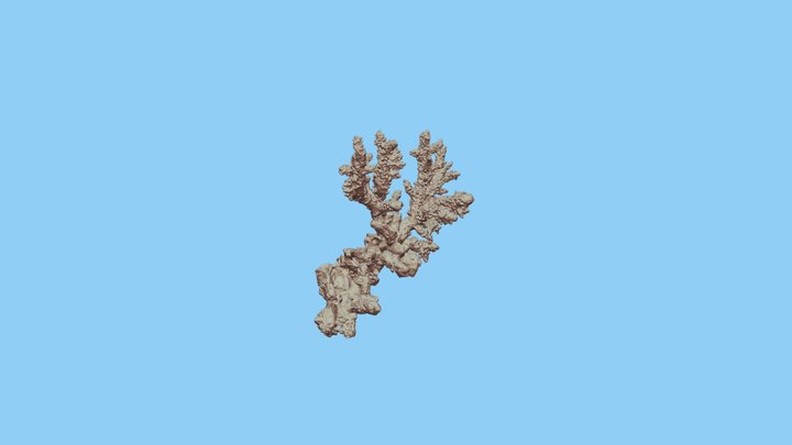 Coral7-1000k 3D Model