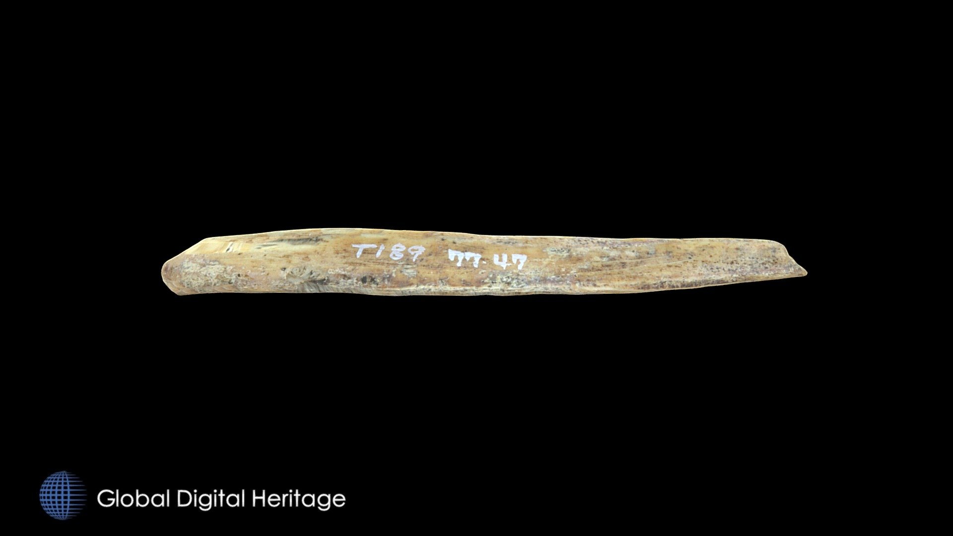 77-47-T189 Bone Tool, Hot Springs Village