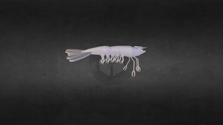 Shrimp Lure 3D Model