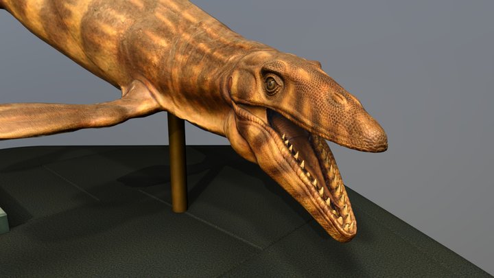 Mosasaur Sculpture Photogrammetry 3D Model