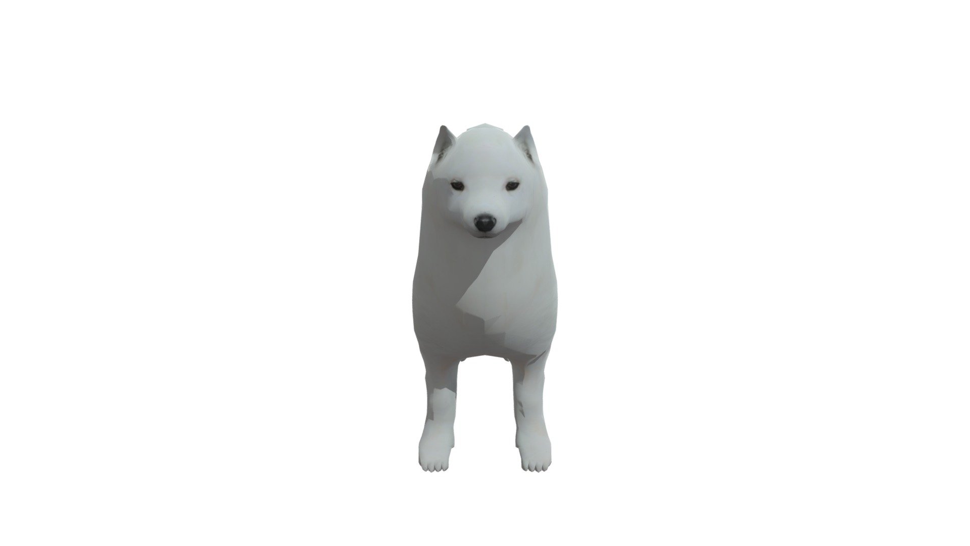 Samoyed White - 3d Model By Onebang [a8793ec] - Sketchfab