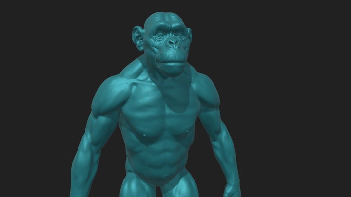Monkey to print 3D Model