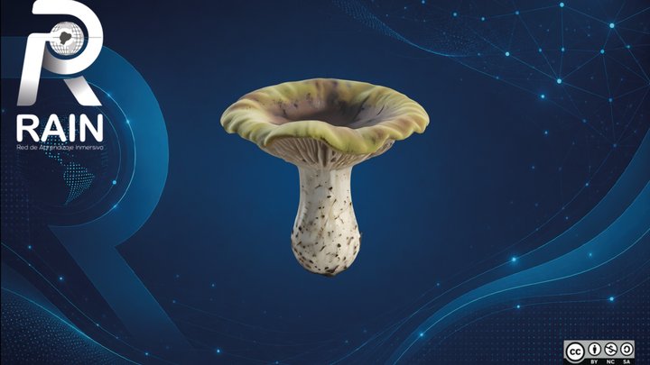 Amanita (Amanita Spp.) – Free 3D Model STL